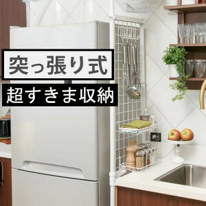 ς莮 ԃbN lbgpl C[lbg lbgX^h 41cm fBXvC bVpl ˂ fBXvClbg