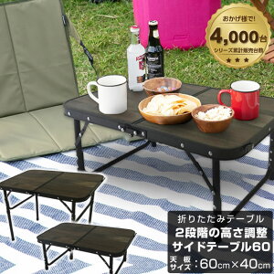 rWs[NX VISIONPEAKS AEghAe[u ^e[u 2WAYTChe[u60 VP160402F01 bb