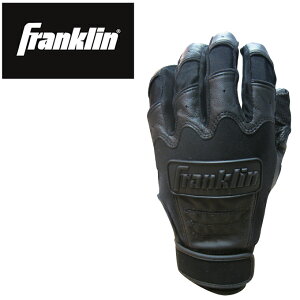 y[֑ztN FRANKLIN 싅 obeBOO[u p Y CFX PROV[Y Z싅Ή 20599F1K6