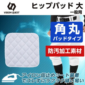 싅 qbvpbg Y Lg⋭XCfBOpbh qbvp VQ550405H01 rWNGXg VISION QUESTy[։z bb