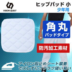 싅 qbvpbg WjA Lgpbh qbv VQ550405H03 rWNGXg VISION QUEST y[։z bb