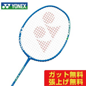 ���l�b�N�X �o�h�~���g�����P�b�g ISOMETRIC TR1 �A�C�\���g���b�NTR1 ISO-TR1-002 YONEX bb