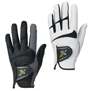 y[֑z[NVI XXIO St pO[u Y VRO[u GGG-X018