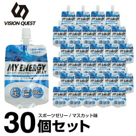 ビジョンクエスト VISION QUEST エネルギーゼリー スポーツゼリー マスカット味 箱売り 30個 EGJ-M エネルギー補給 ゼリー飲料 低価格 bb