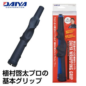 _C DAIYA St Kp K _CbsOObv TR-458