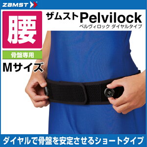 UXg ZAMSTpT|[^[ Y fB[XpelvilockyBbN _C^Cv MTCY383102 p@T|[^[ T|[^[