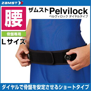 UXg ZAMSTpT|[^[ Y fB[XpelvilockyBbN _C^Cv LTCY383103p@T|[^[ T|[^[