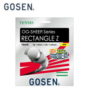 S[Z dejXKbg RECTANGLE N^OZ TS419-W GOSEN