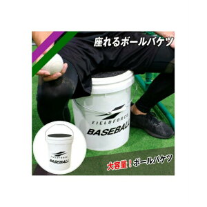 �t�B�[���h�t�H�[�X FIELDFORCE �싅 �{�[���P�[�X �����{�[���o�P�c FBKT-3039