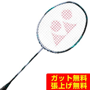yꌧi܁j3C300~ȏ㑗zlbNX oh~gPbg Y fB[X AXgNX88S cA[ 3AX88S-T-417 YONEX