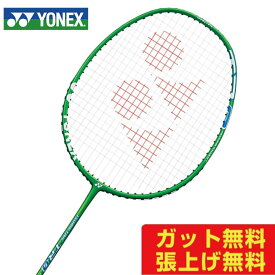 ヨネックス(YONEX) アイソメトリックTR0 (ISOMETRIC TR0) ISO-TR0-003 グリーン 2020年モデル バドミントンラケット トレーニング用