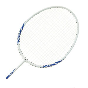 ���l�b�N�X �o�h�~���g�����P�b�g ����グ�ς� B4000 B4000G-011 YONEX rkt