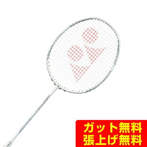 ���l�b�N�X �o�h�~���g�����P�b�g �i�m�t���A�l�N�X�e�[�W NF-NT-103 YONEX rkt