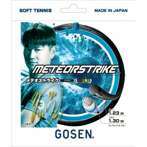 y[֑z S[Z GOSEN \tgejXKbg eIXgCN SSMS11MS rkt