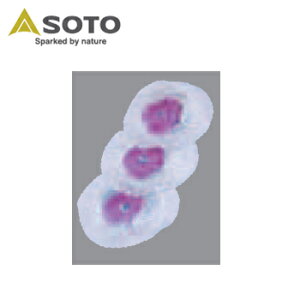 \g^ANZT[ }g 3 ST-2101 SOTO