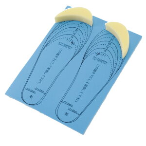 XL[S[ EC^[ANZT[ WjA WjAC\[ DN-1 SKI GO