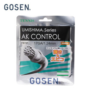 �S�[�Z�� �e�j�X�K�b�g �d�� �P���� ���m�t�B�������g �E�~�V�}AK�R���g���[��17 AK CONTROL 17 TS721 GOSEN