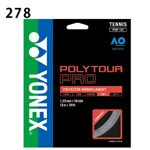 lbNX ejXKbg d P |GXe mtBg |cA[v125 PTGP125 YONEX