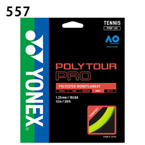 lbNX ejXKbg d P |GXe mtBg |cA[v125 PTGP125 YONEX