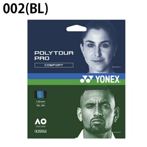 lbNX ejXKbg d P |GXe mtBg |cA[v125 PTGP125 YONEX
