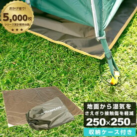 【エントリーでポイント最大15倍！】グランドシート 250×250cm グランドシート270ライト VP1632012C ビジョンピークス VISIONPEAKS テントシート グラウンドシート