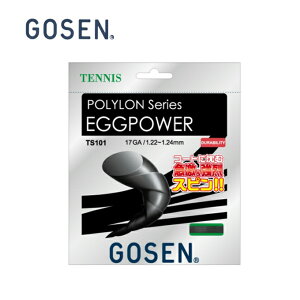 S[Z ejXKbg d P |GXemtBg GbOp[17 EGGPOWER 17 TS101BK GOSEN