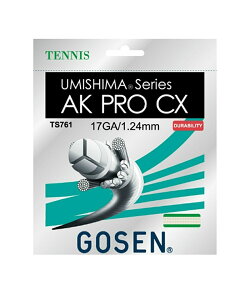 S[Z ejXKbg d P mtBg E~V}AKvCX17 AK PRO CX17 NA TS761 GOSEN