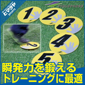 ySiΏۍő10OFFN[|! 9/25 23:59܂ŁztB[htH[X FIELDFORCE싅 Ktbg}[J[FFMC-5