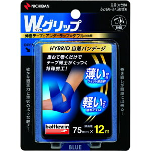 ySiΏۍő10OFFN[|! 9/25 23:59܂Łzj`o NICHIBAN e[sO Lk ogEB WObv WGP75F