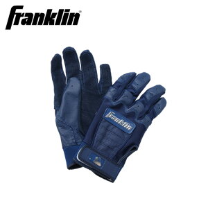 tN 싅 pobeBOO[u Y fB[X CFX CHROME N[ 20592F FRANKLIN