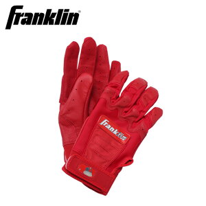 tN 싅 pobeBOO[u Y fB[X CFX CHROME N[ 20593F FRANKLIN