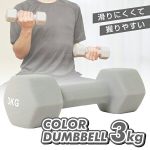 _x 3kg ]Ȃ Zp` Y fB[X J[_x rWNGXg VISION QUESTVQ580104I03