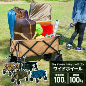 楽天市場 キャリーワゴン 子供の通販