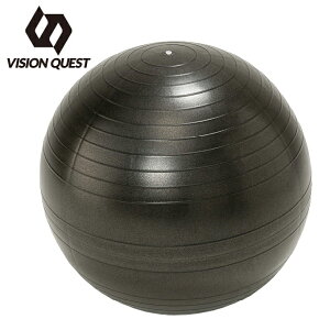 rWNGXg VISION QUEST W{[ mo[XgW{[75 VQ580105I13