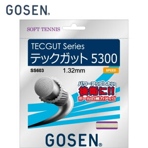 S[Z \tgejXKbg q ebNKbg 5300 SS603-NA GOSEN