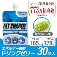 ビジョンクエスト(VISION QUEST) エネルギーゼリー スポーツゼリー マスカット味 30個入り EGJ-M 30