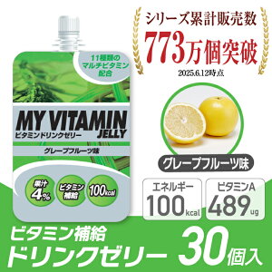 �r�W�����N�G�X�g VISION QUEST �r�^�~���[���[ �O���[�v�t���[�c 1�� 30�� MVJ-GF 30