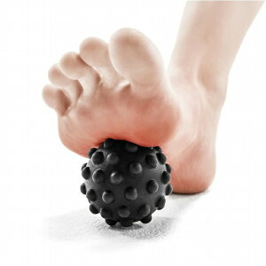 GK }bT[W{[ Xgb`{[ ˋNt Re 54153@w{[ ډObY Xgb`ObY  w  ӂ͂  Sg