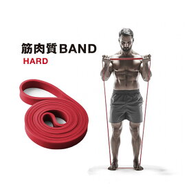 【最大10％OFFクーポン！7/4 20:00〜7/11 1:59】エルガム エキスパンダー トレーニングバンド ハード 筋肉質BAND 54155 トレーニングチューブ エクササイズバンド ストレッチ ゴムバンド 筋トレ ゴムチューブ