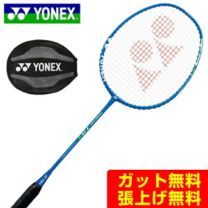 ���l�b�N�X �o�h�~���g�����P�b�g ISOMETRIC TR1 �A�C�\���g���b�NTR1 ISO-TR1-002 YONEX