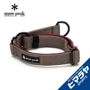 Xm[s[N  SPe[v`[J[S PT-110 snow peak