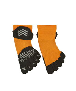 ySiΏۍő10OFFN[| 2025/11/30 0:00`12/11 1:59z^rI TABIO V[g\bNX Y [VO v ܖ{w\bNX L 072120040