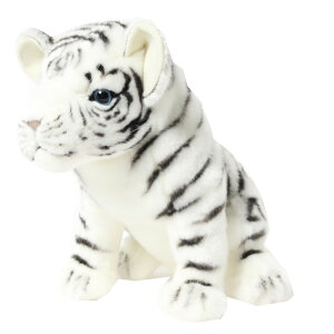 wbhJo[ tFAEFCEbhp HC FWpzCg^CK[ BH8109