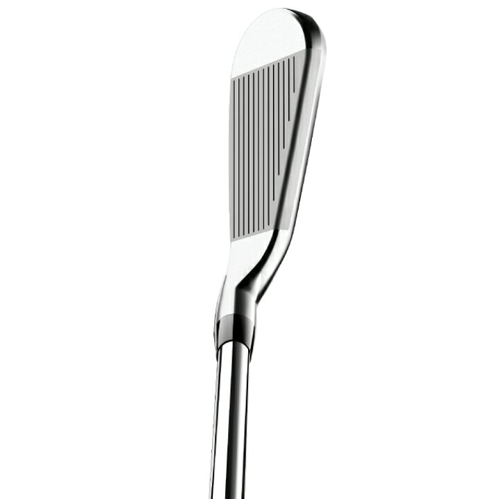 楽天市場】タイトリスト Titleist ゴルフクラブ アイアンセット 5本組 