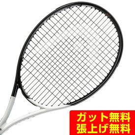 ヘッド HEAD 硬式テニスラケット スピードTEAM 233632