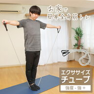【全品対象10％OFFクーポン！9/4 20:00~9/11 1:59】エクササイズチューブ 強度強+ 高強度 トレーニングチ…