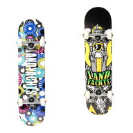 【全品対象まとめ買いクーポン最大10％OFF！6/5 0:00〜23:59】ビジョンピークス VISIONPEAKS スケートボ…