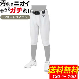 【送料無料】 ミズノ 野球 ユニフォームパンツ ジュニア 練習着 GACHIパンツ ガチパンツ ショートフィットタイプ 12JD2F8401 MIZUNO 少年 子供 GACHIユニフォームパンツ 野球ウェア