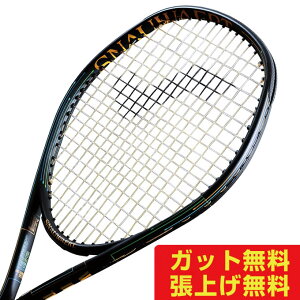 �X�m���[�g SNAUWAERT �d���e�j�X���P�b�g VITAS100R FF �r�^�X100R FF SRV300