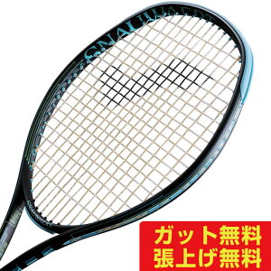 Xm[g SNAUWAERT dejXPbg VITAS105R FF r^X105R FF SRV302